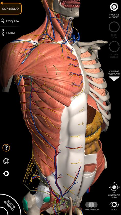 Anatomy 3D Atlas Download